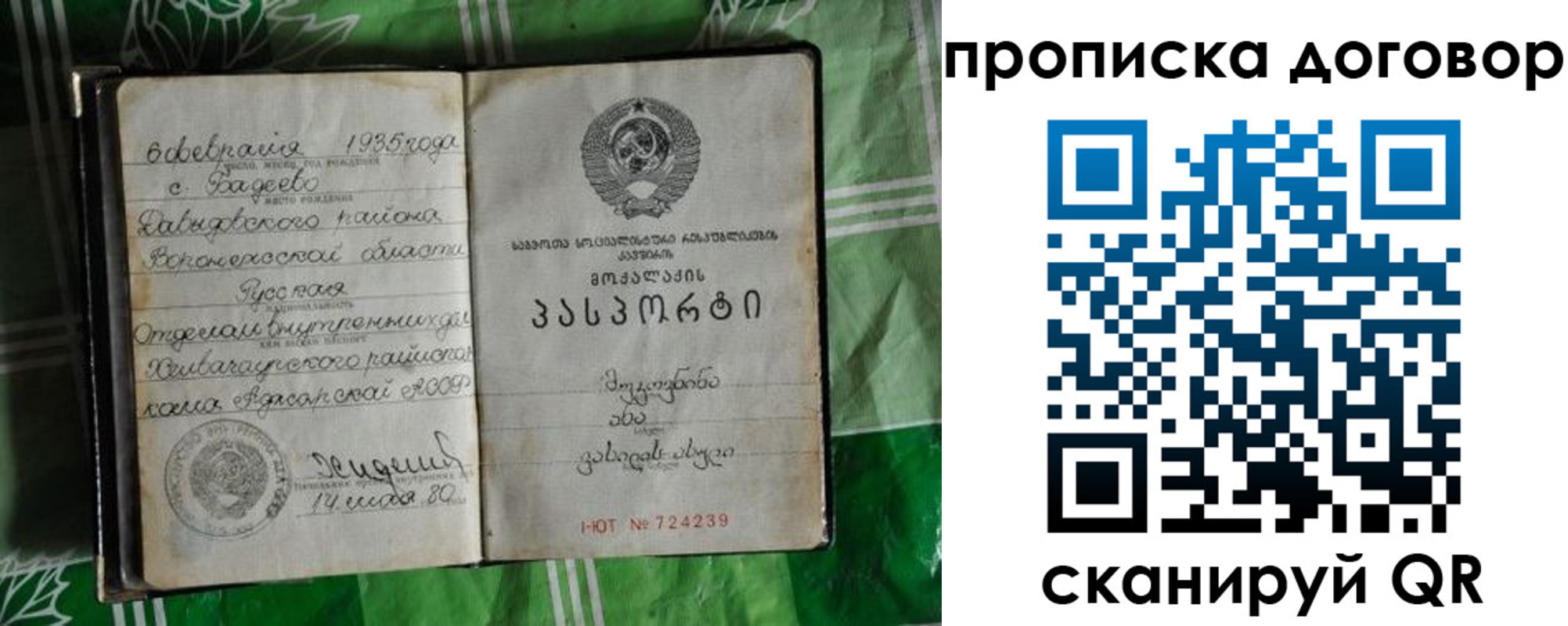 прописка в Суворове